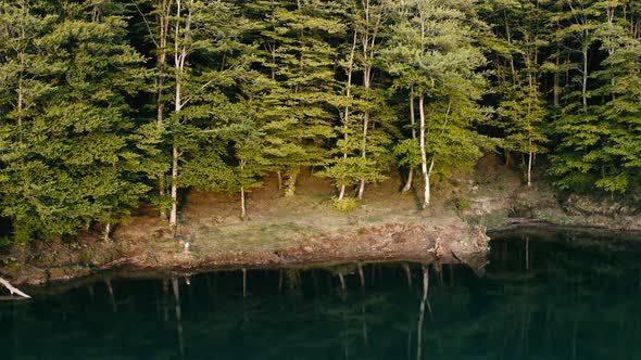 Aerial view of trees reflected in mountain lake