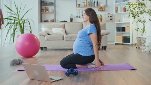 A Pregnant Woman is Doing Exercises