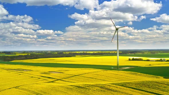 Yellow and green rape fields and blue sky, Poland