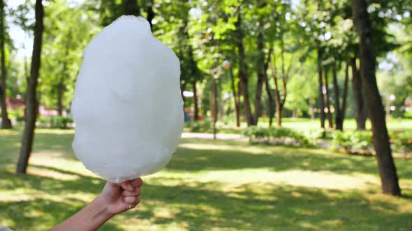 Cotton Candy in the Hands of a Girl in a Summer Park. alt