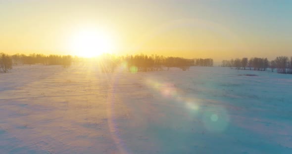 Aerial Drone View of Cold Winter Landscape with Arctic Field Trees Covered with Frost Snow and