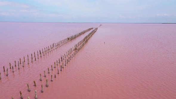 SasykSivash is the Largest Lake and Salt Lake on the Crimean Peninsula