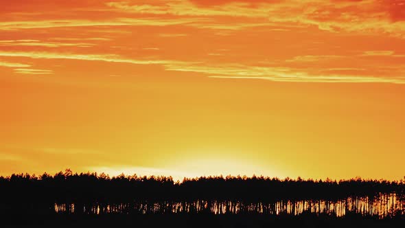 Sunset Sky Above Pine Forest