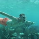 Guy Snorkeling Diving Underwater in Caribbean Barrier Reef Ocean - VideoHive Item for Sale
