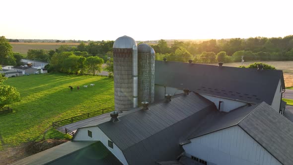 Aerial rotation around silos at modern farm in rural America. Animals graze in background. Beautiful