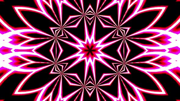 Beautiful video 3D liquid line abstract background in pink flower shape texture