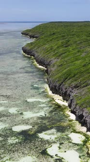 Tanzania  Coast of Zanzibar Island Covered with Thickets Slow Motion