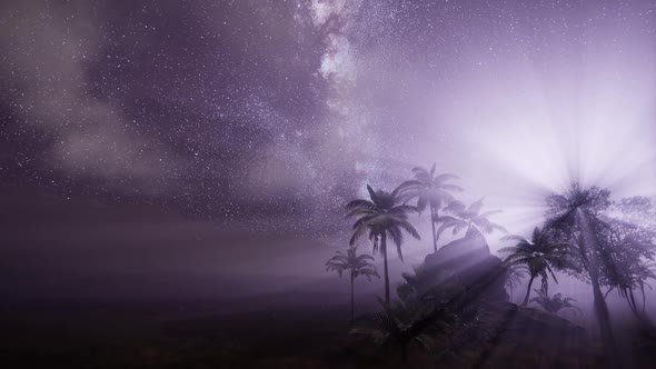 Milky Way Galaxy Over Tropical Rainforest