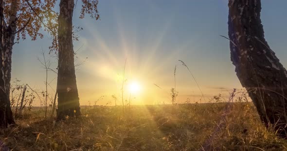 Meadow Timelapse at the Summer or Autumn Time