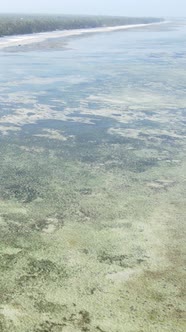 Vertical Video of Low Tide in the Ocean Near the Coast of Zanzibar Tanzania