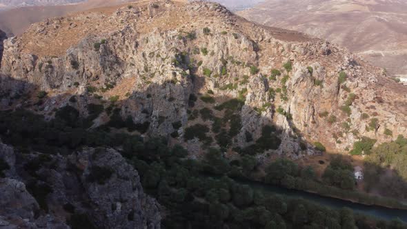 Palms Near Green River in Preveli Crete Island Greece