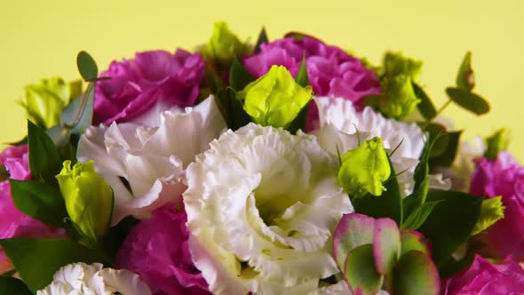 Beautiful Fresh Flowers Rotation on Background