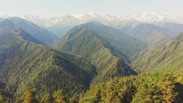 Three Horses With Caucasian Mountains Aerial View