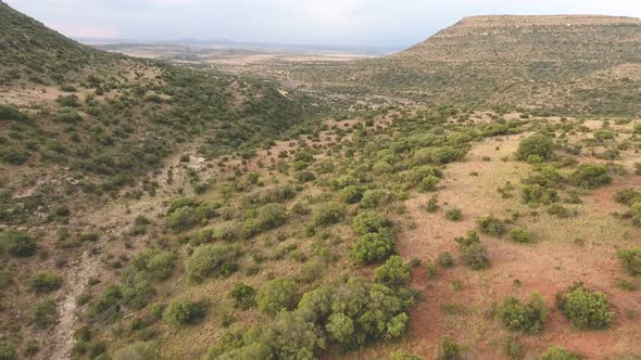 Aerial View Of Karoo Landscape - South Africa