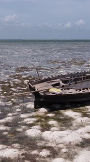 Tanzania  Vertical Video of Low Tide in the Ocean Near the Coast of Zanzibar Slow Motion