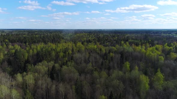 Flying above beautiful spring forest under blue sky near a small city