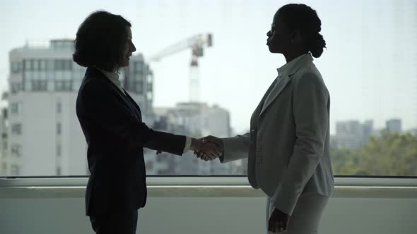 Professional Businesswomen Shaking Hands