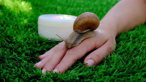 Cosmetics with Mucin Snail on a Female Handskin Care