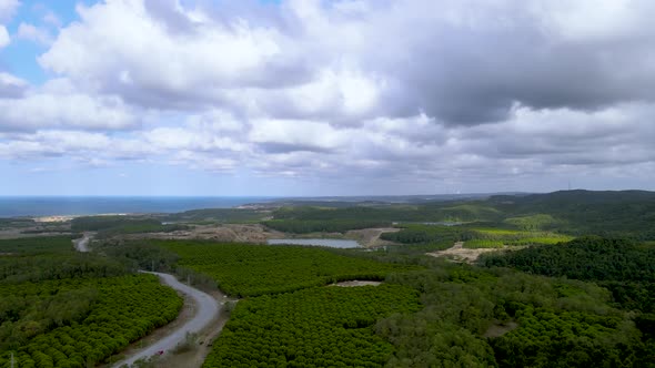 Drone flight over the north Istanbul forest. Cloudy sky, blue sea and green nature