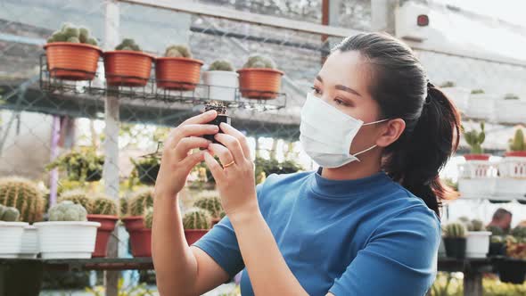 A masked asian woman examines a small potted cactus in a greenhouse nursery for plants