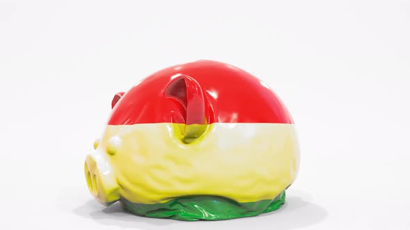 Deflating Piggy Bank with Printed Flag of Bolivia