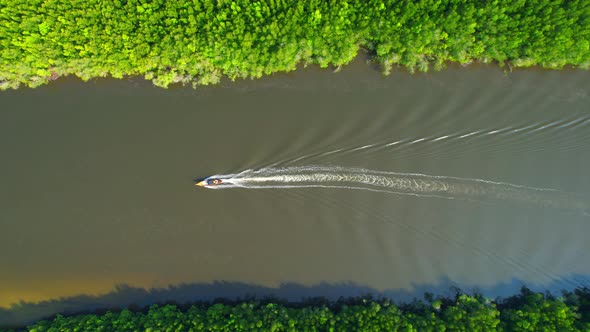 Top view of the boat cruising along the river with mangroves surrounding.