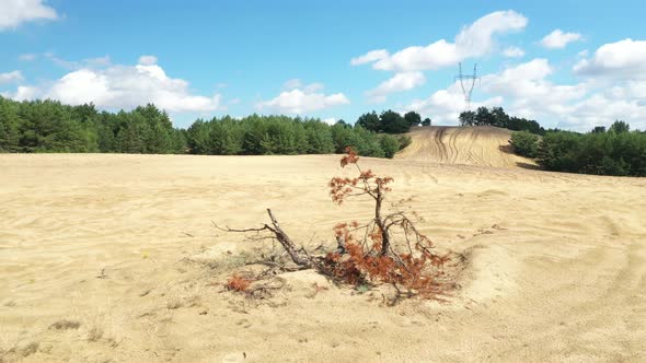 Pustynia Siedlecka desert in Poland