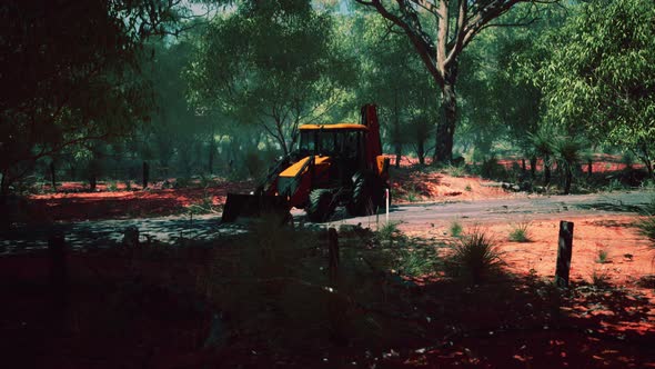 Excavator Tractor in Bush Forest