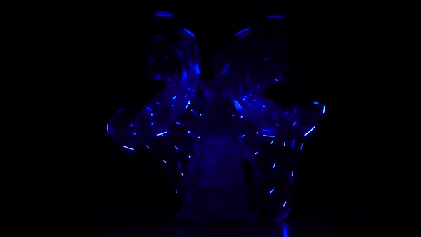 Oriental Dancing Belly Dance with Glowing Wings. Black Background. Sihouette