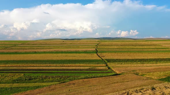 Aerial drone footage of golden fields ready for season harvest. Countryside farmland