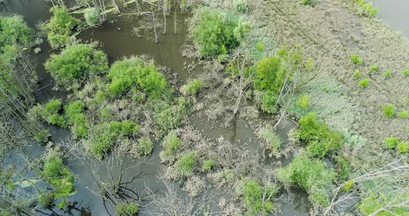 Aerial view of nature area in Brugven, Noord-Brabant, Netherlands.