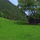 Flight over green mountain meadow towards a big tree and an old hut with big forest in background - VideoHive Item for Sale