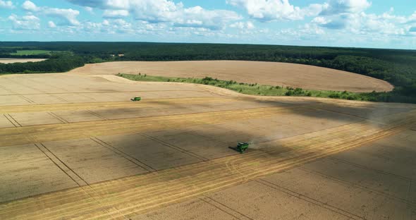 Harvester Machine to Harvest Wheat Field Working Aerial View
