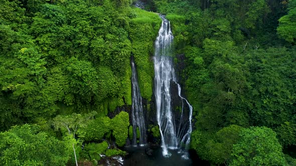 Tropical Waterfall in Green Rainforest