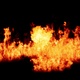 The flames burn and float like a real fire to be gradually extinguished Isolated by Alpha channel - VideoHive Item for Sale