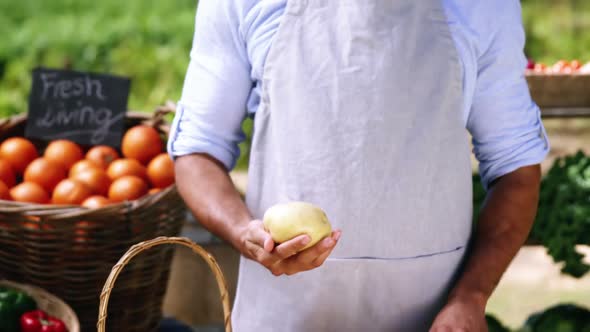 Handsome man checking potato