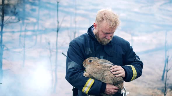 Firefighter is Petting a Rabbit Rescued From the Fire