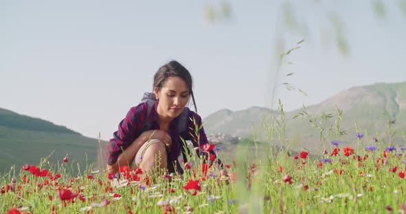 Smiling Woman Smelling and Picking Flowers From field.Front View,medium Shot,slow motion.Crouched