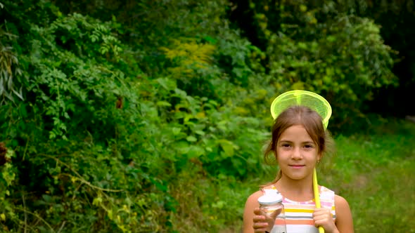 A Child Girl Catches Butterflies with a Butterfly Net