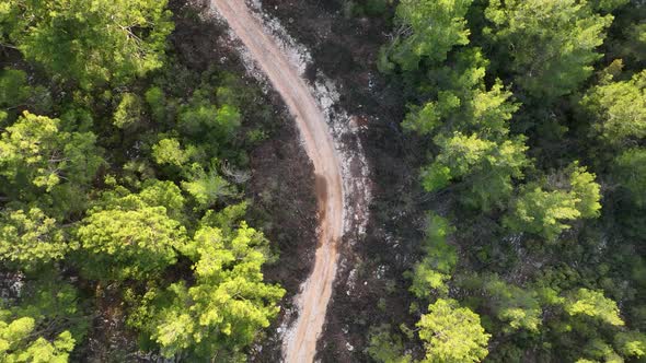 Road in the forest high in the mountains aerial view 4 K