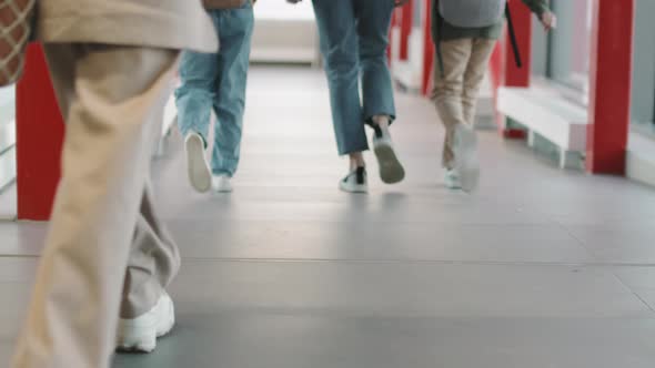 People With Suitcases Boarding On Airplane