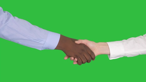 Handshake of Afro American and caucasian female hands on