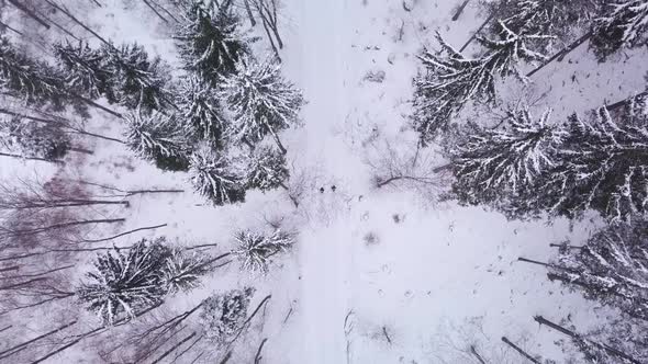 Topdown shot of two people who are walking on a snowy path. The dronees forward.