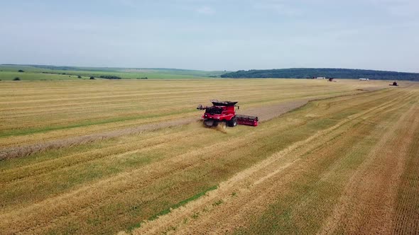 Aerial view. Combine harvester working on sunny summer day. Harvest time. Agricultural sector
