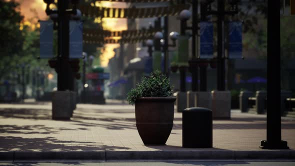 Lockdown Coronavirus Covid19 Empty Streets alt