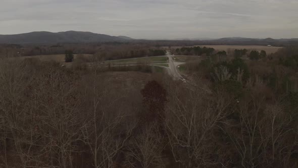 Rising above the bare trees, revealing a row of highways interconnected.