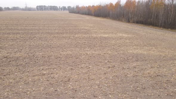 Land in a Plowed Field in Autumn