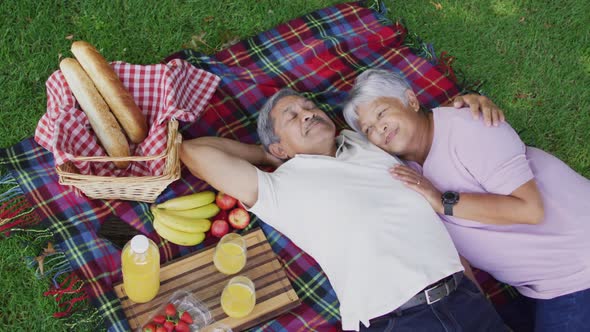 Video of happy biracial senior couple having picnic in garden