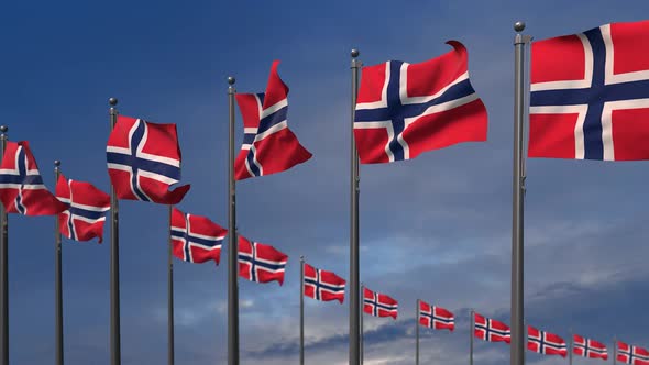 The Norway Flags Waving In The Wind   4K