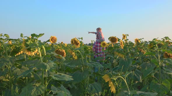 Father and Son Walking in Field of Sunflowers